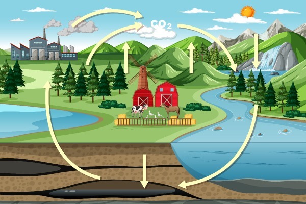 Ciclos Biogeoquímicos: definição, principais tipos e como são cobrados no Enem