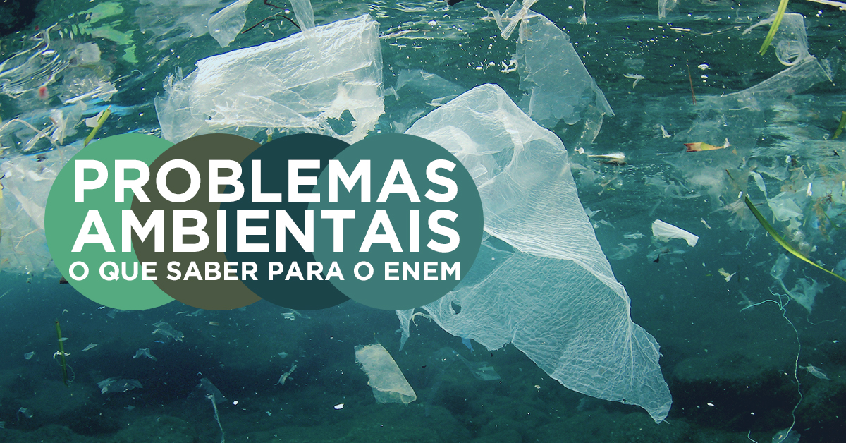 Problemas Ambientais: O que saber para o Enem?