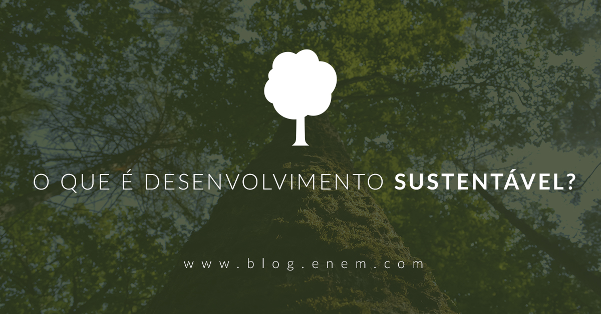 O que é desenvolvimento sustentável?