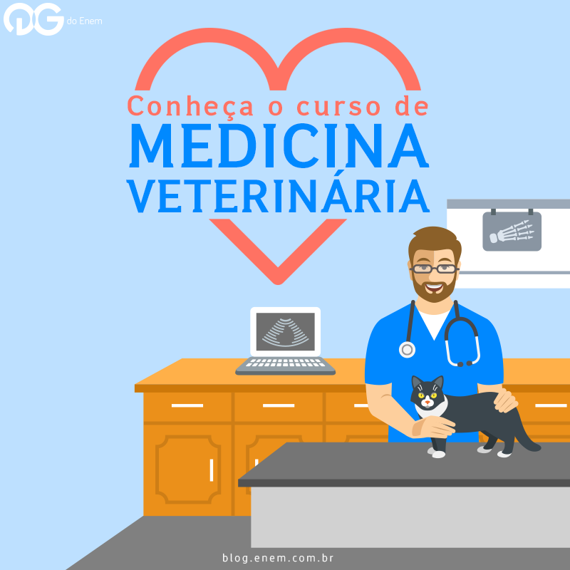 Conheça o curso de Medicina Veterinária