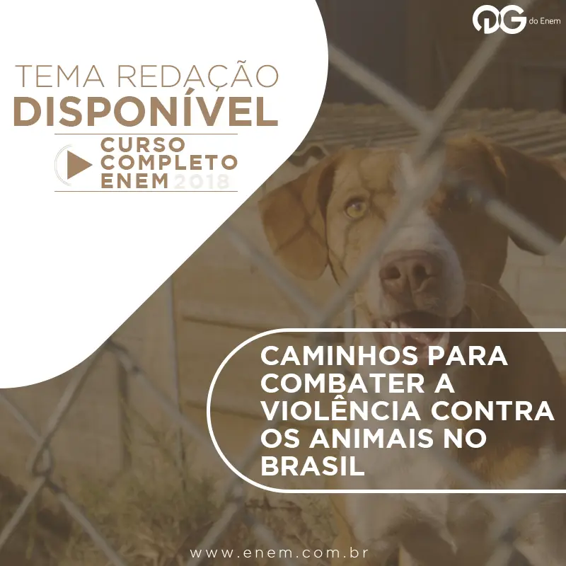 Caminhos para combater a violência contra os animais no Brasil contemporâneo