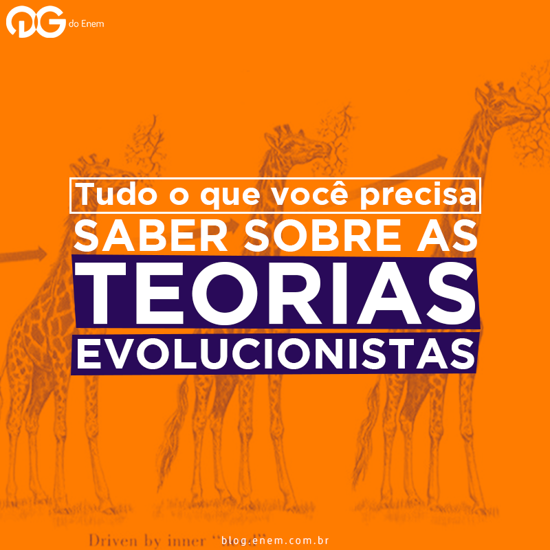 Tudo o que você precisa sabe sobre Teorias Evolucionistas