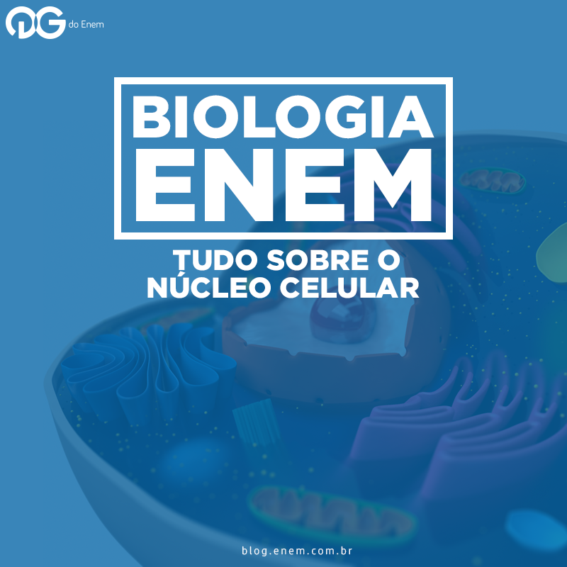 Biologia ENEM: Tudo sobre o Núcleo Celular