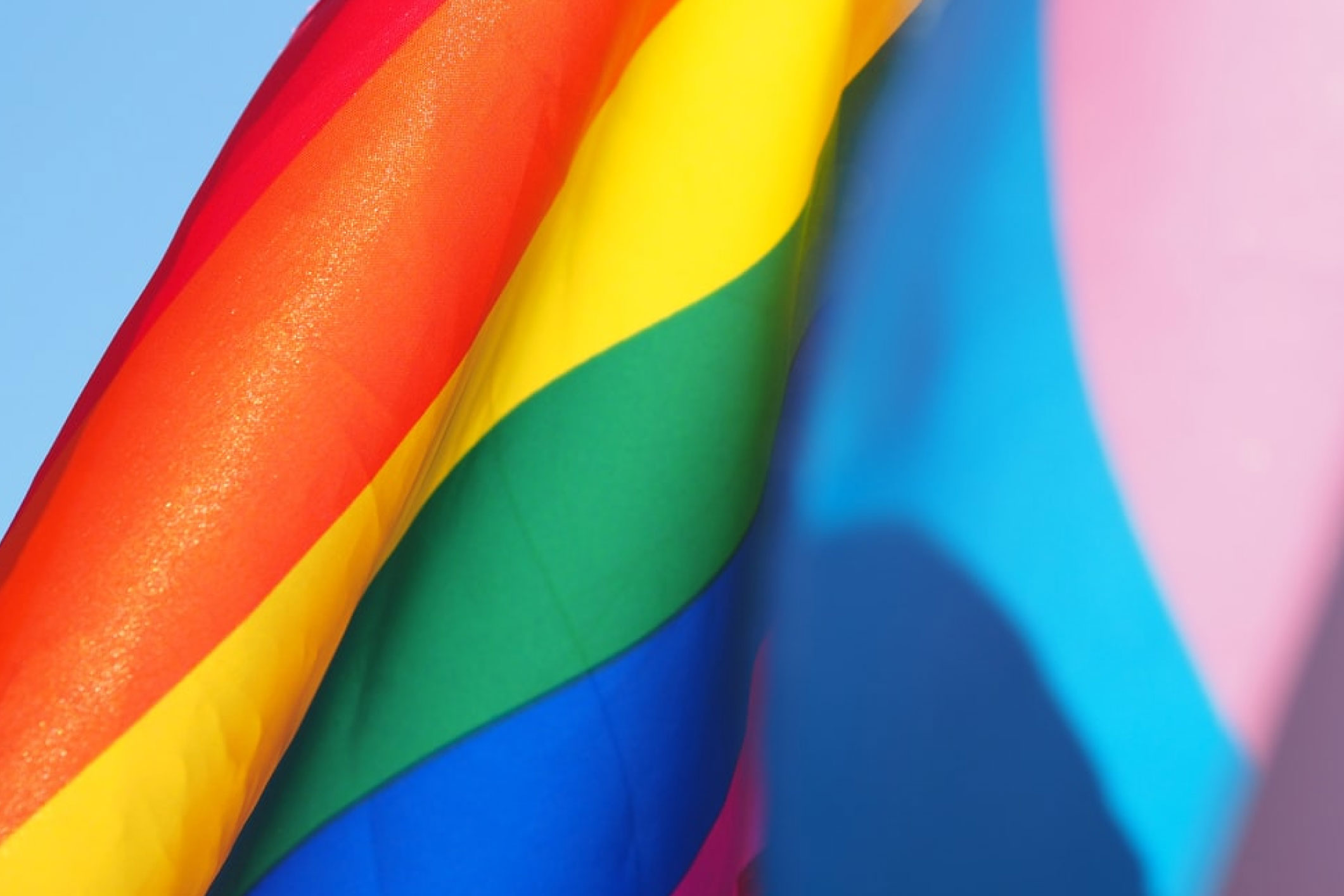 LGBTQIA+