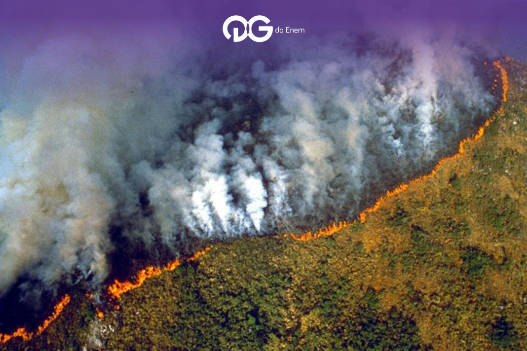 Tudo o que você precisa saber sobre o incêndio na Amazônia