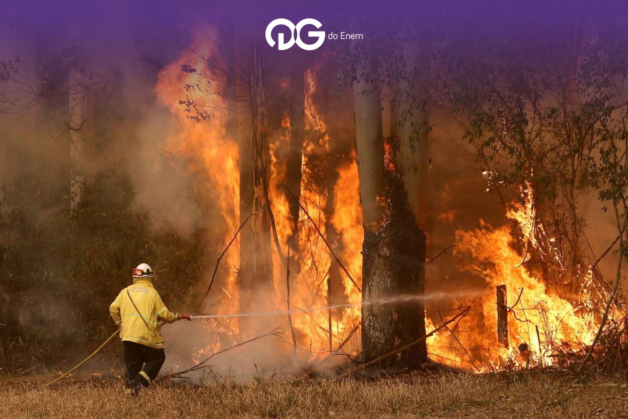 Incêndios florestais na Austrália