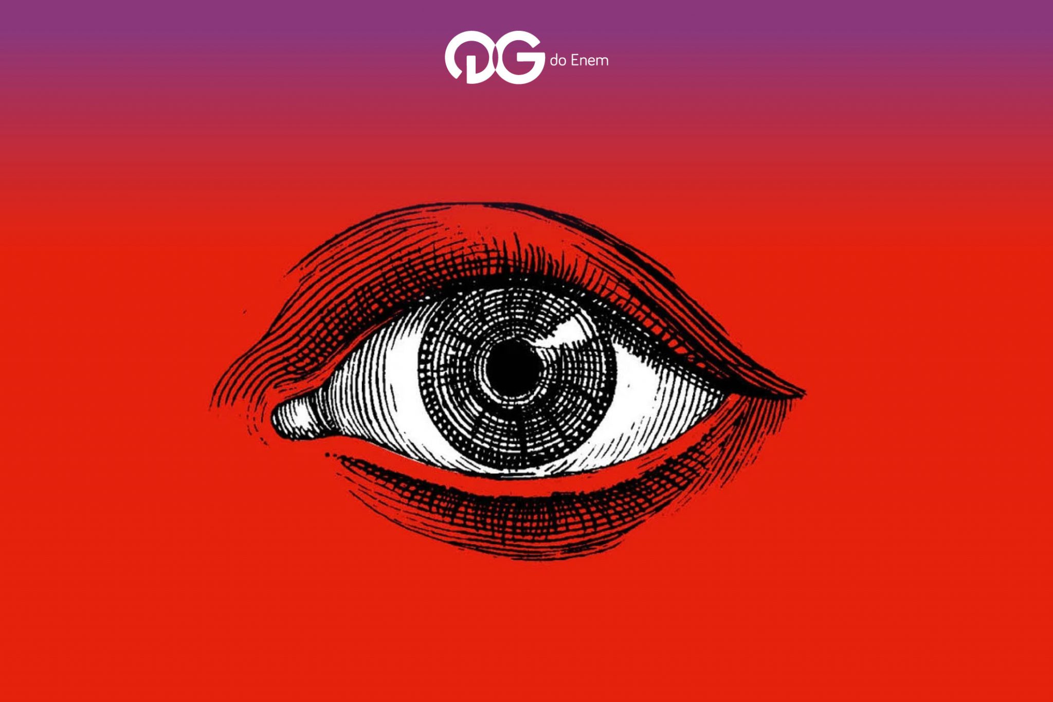 A literatura de 1984 e os reality shows