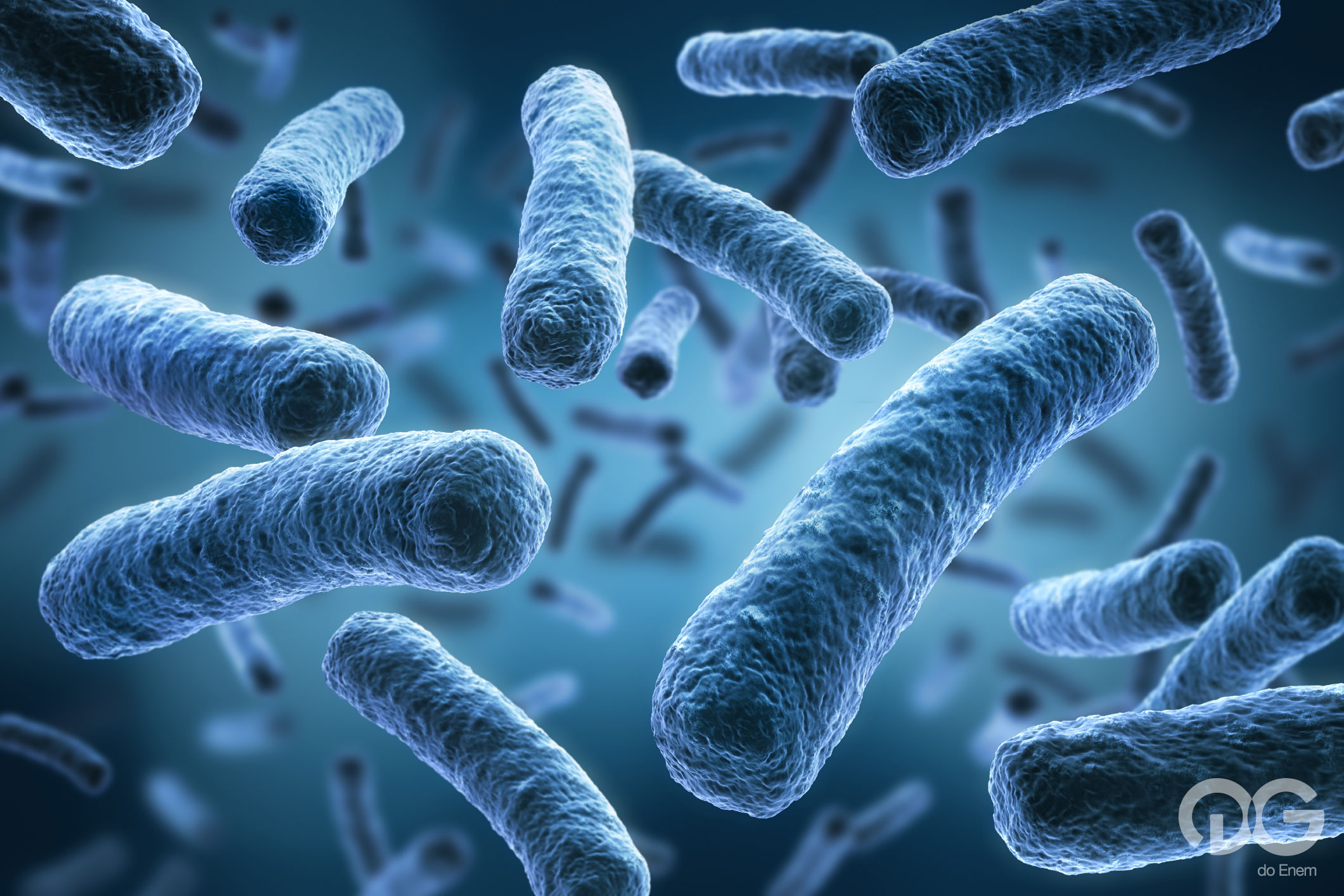 viroses e bacterioses