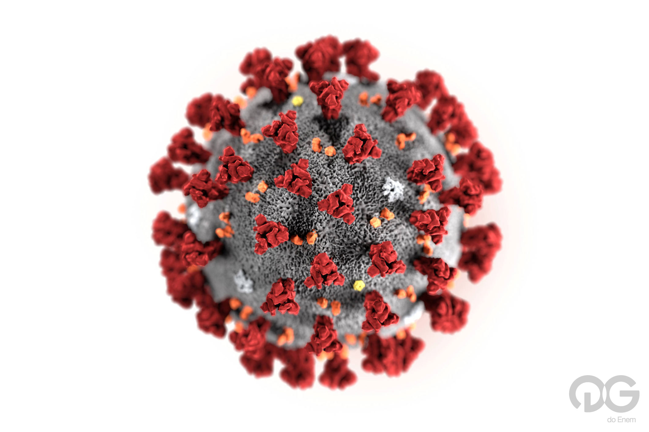reinfecção pelo coronavírus