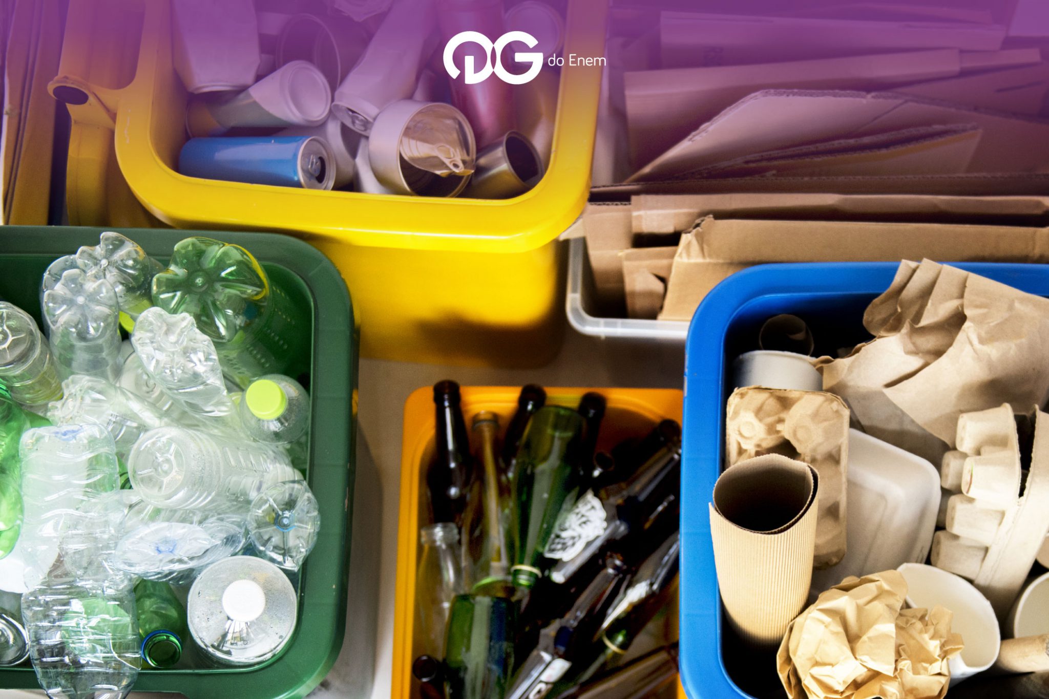 Entenda os conceitos de reciclagem, coleta seletiva e compostagem