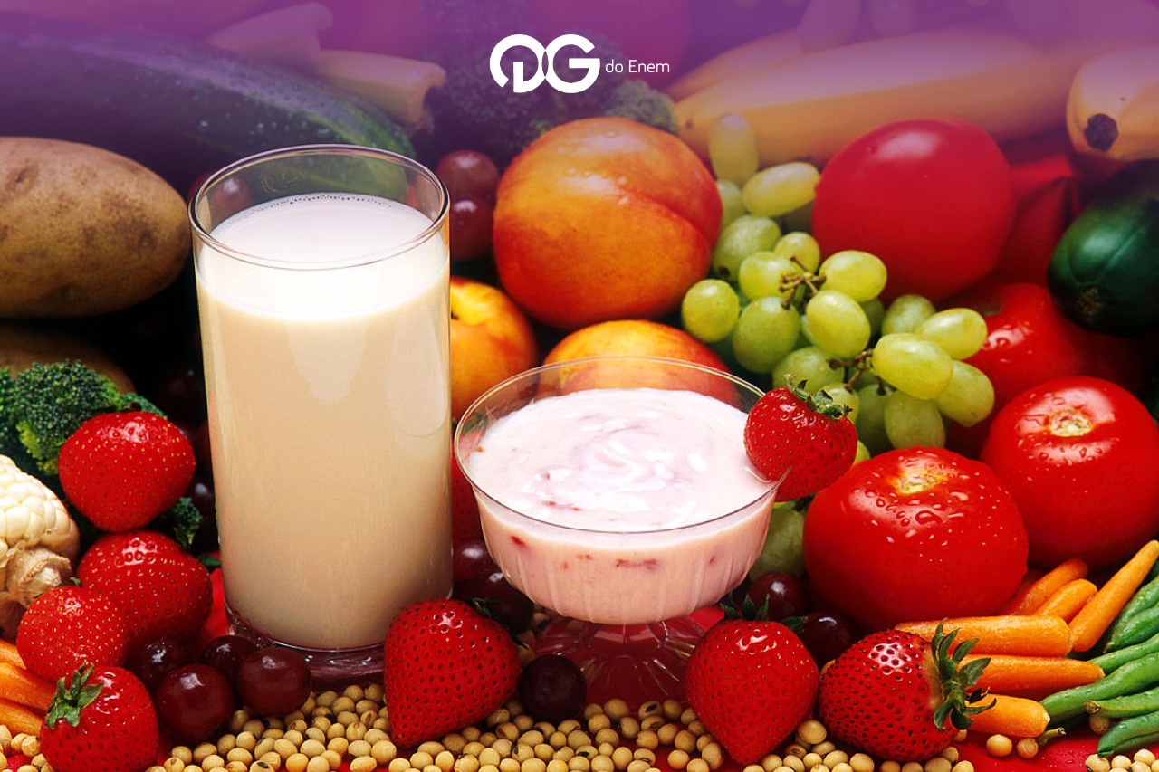 Entenda a diferença entre vegetarianismo e veganismo