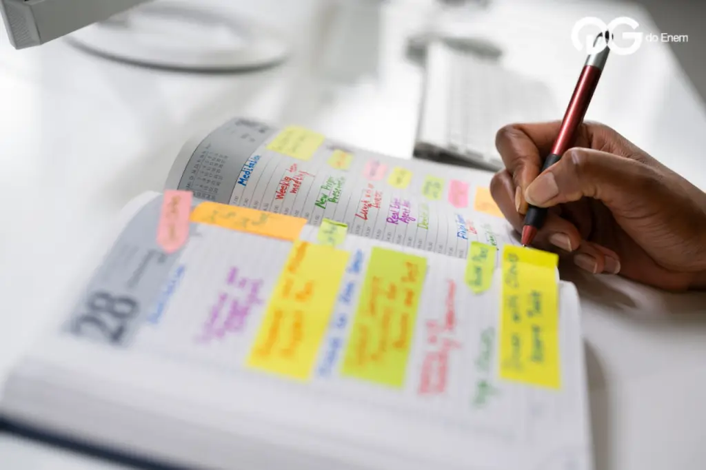 Veja como fazer um plano de estudos personalizado