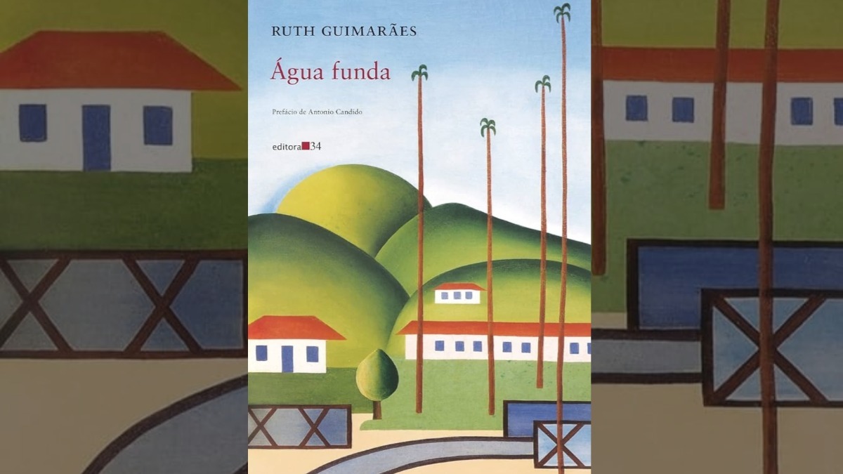 Resumo do livro Água funda, leitura obrigatória da Fuvest