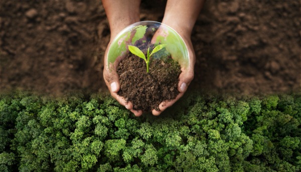 Ciências da Natureza no Enem: Guia de estudos para vestibulares