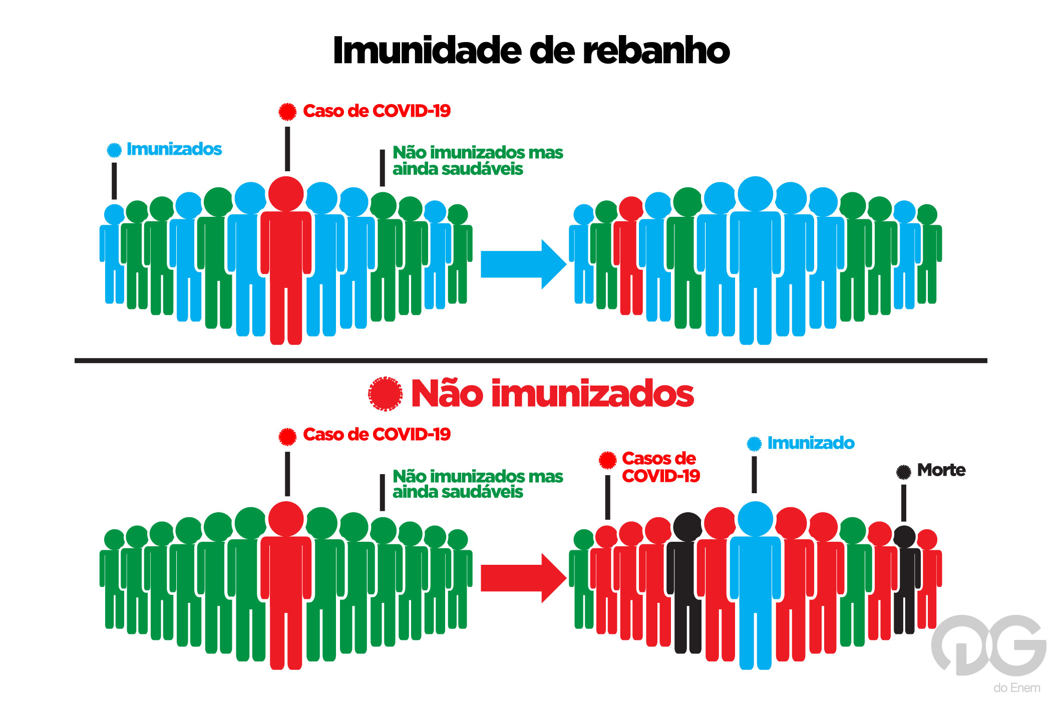 imunidade de rebanho